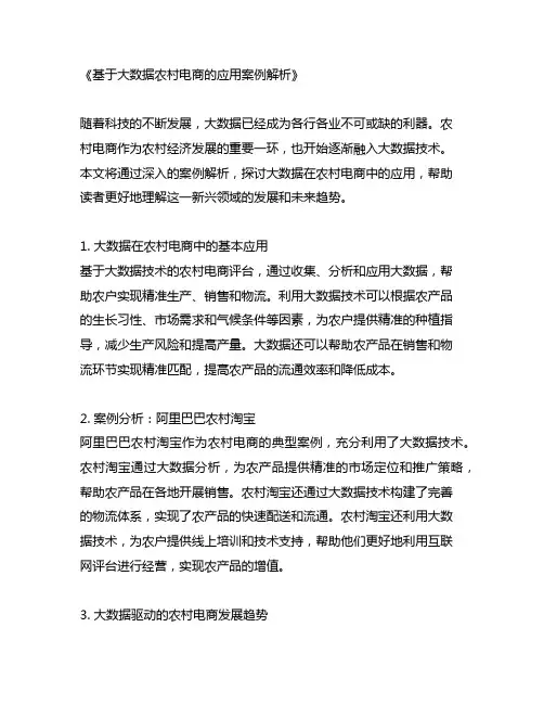 基于大数据农村电商的应用案例解析