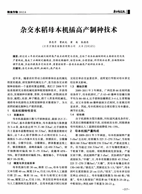 杂交水稻母本机插高产制种技术