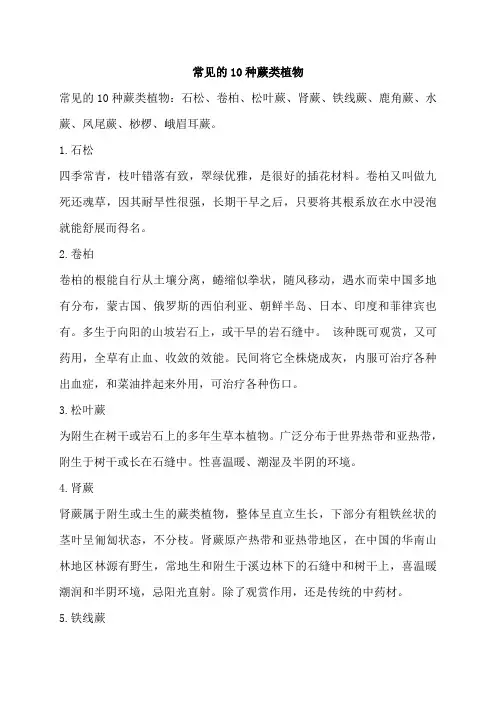常见的10种蕨类植物