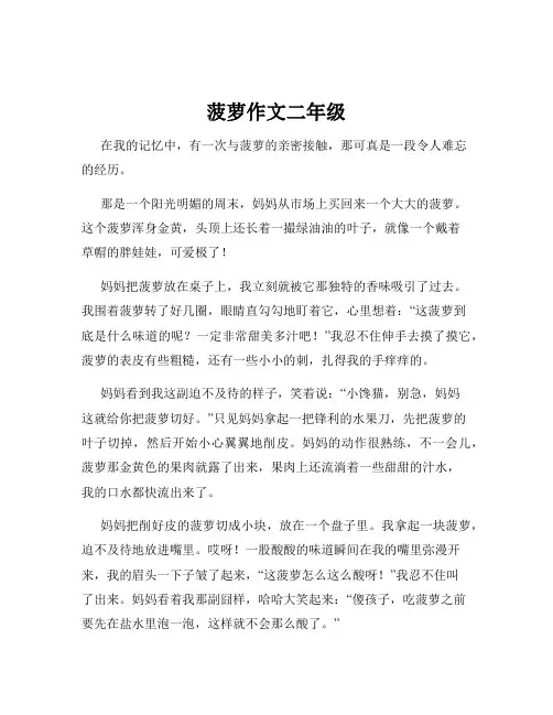 菠萝作文二年级