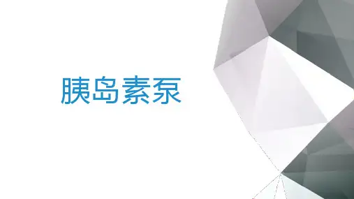 胰岛素泵PPT