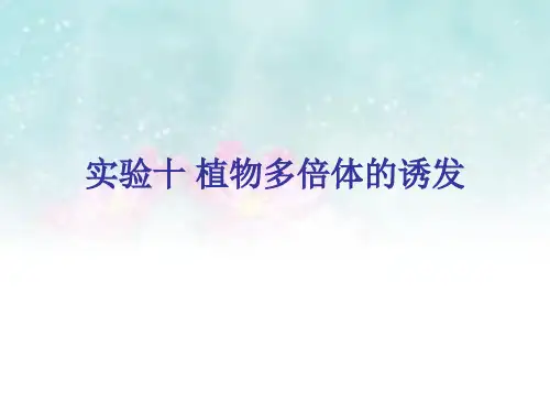 遗传学实验实验十 植物多倍体的诱发