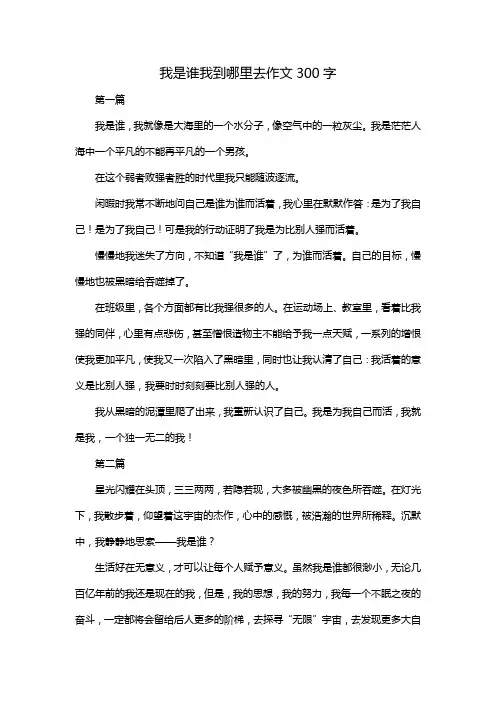 我是谁我到哪里去作文300字