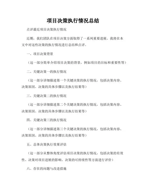 项目决策执行情况总结
