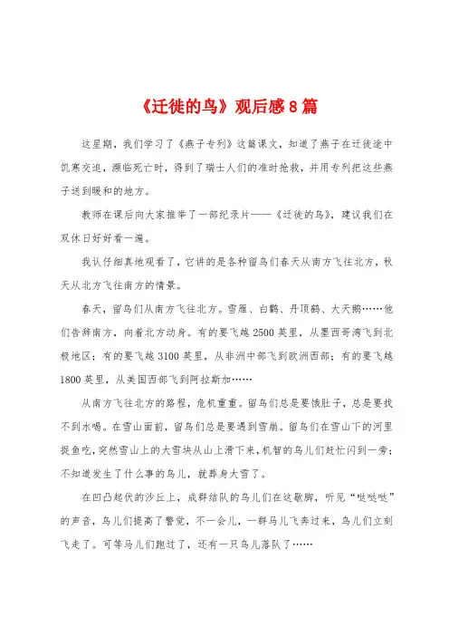 《迁徙的鸟》观后感8篇
