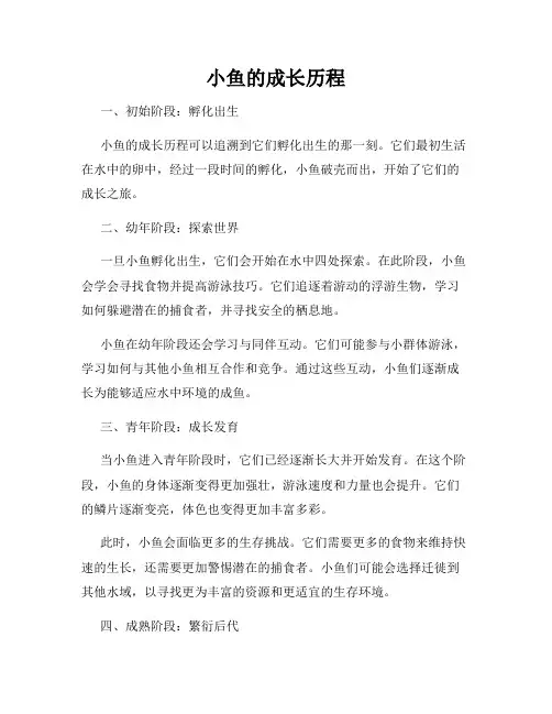 小鱼的成长历程
