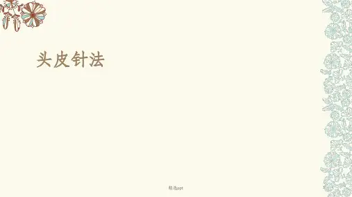 头皮针PPT课件
