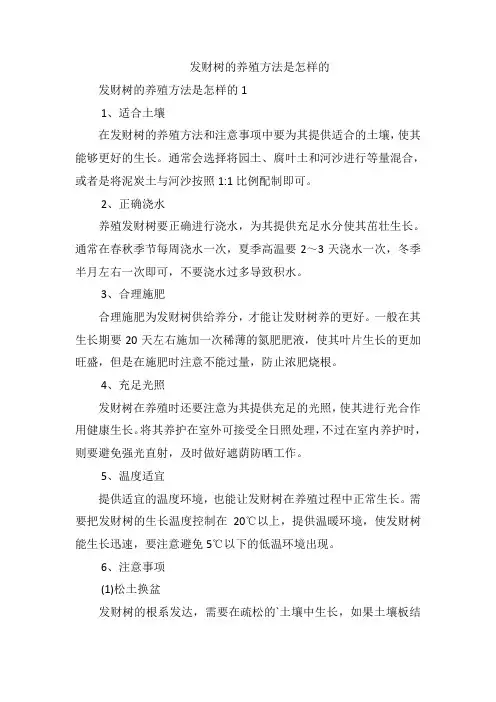 发财树的养殖方法是怎样的