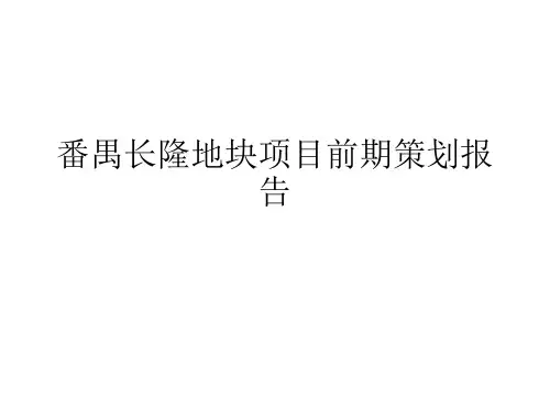 番禺长隆地块项目前期策划报告