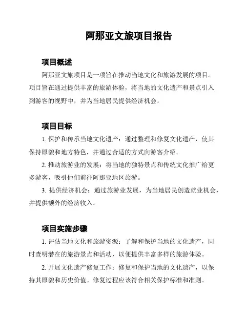 阿那亚文旅项目报告
