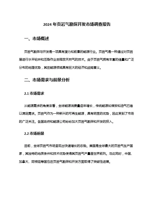 2024年页岩气勘探开发市场调查报告