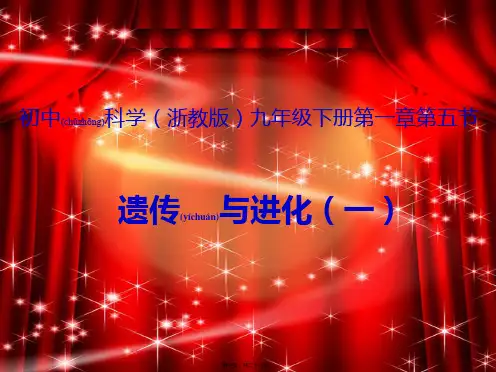 九年级科学下册1.5遗传与进化11初中九年级下册自然科学