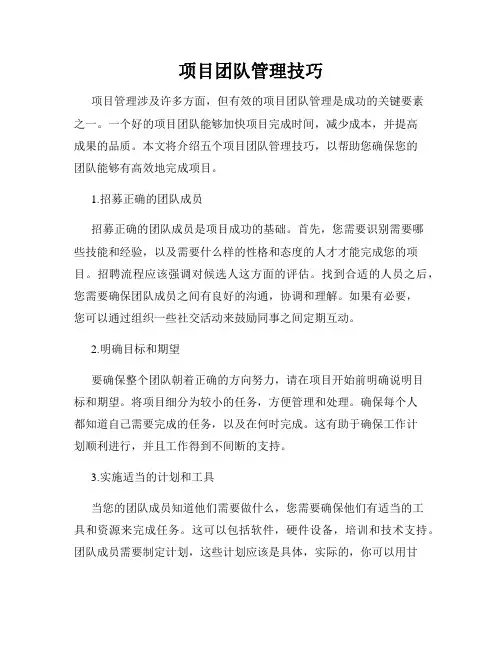 项目团队管理技巧
