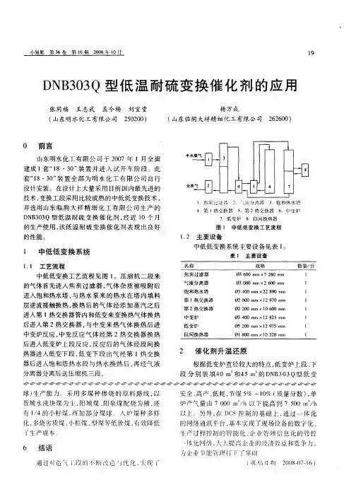 DNB303Q型低温耐硫变换催化剂的应用
