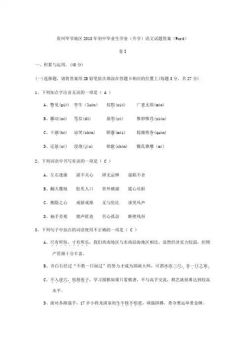076.贵州毕节地区2018年语文中考试题.