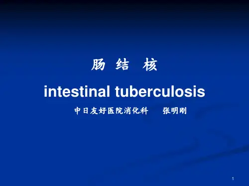 肠结核和结核性腹膜炎ppt课件