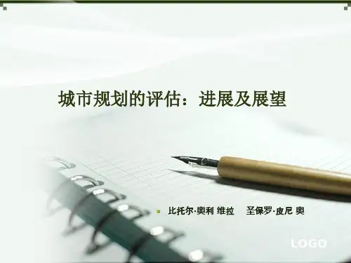 城市规划的评估：进展及展望