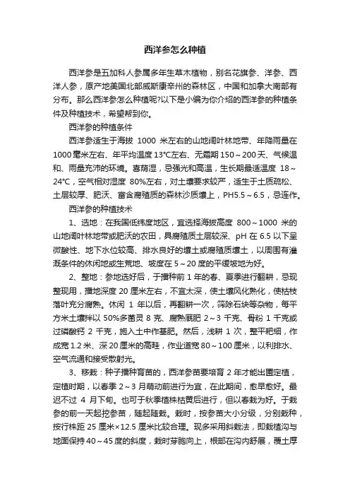 西洋参怎么种植