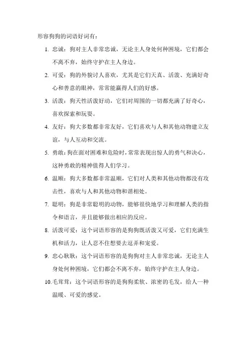 形容狗狗的词语好词