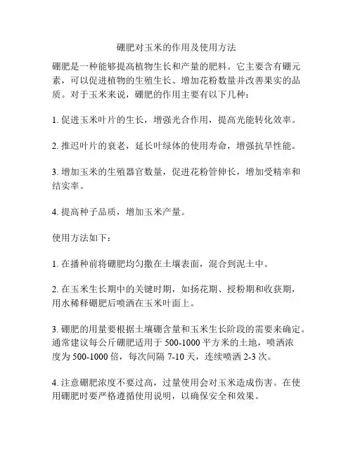 硼肥对玉米的作用及使用方法