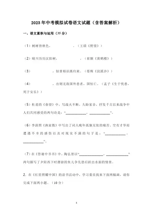 2023年中考模拟试卷语文试题(含答案解析)