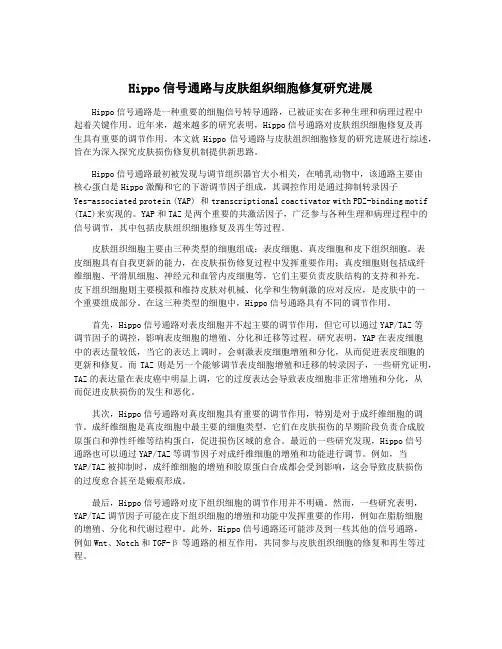 Hippo信号通路与皮肤组织细胞修复研究进展