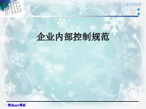 企业内部控制规范