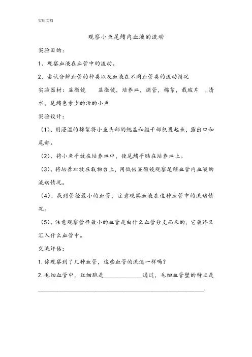 观察小鱼尾鳍内血液地流动(初中生物实验教案设计)