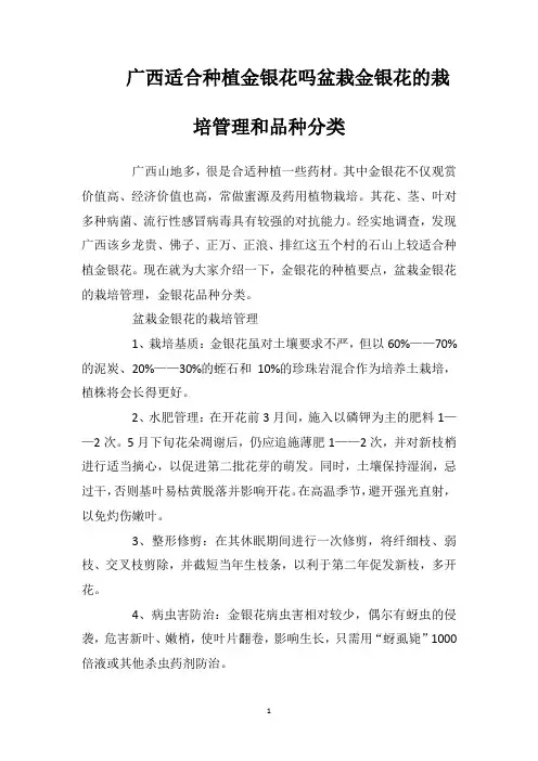 广西适合种植金银花吗盆栽金银花的栽培管理和品种分类