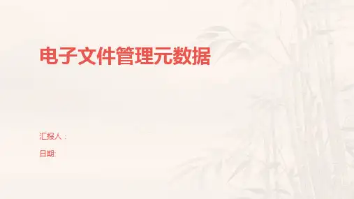 电子文件管理元数据