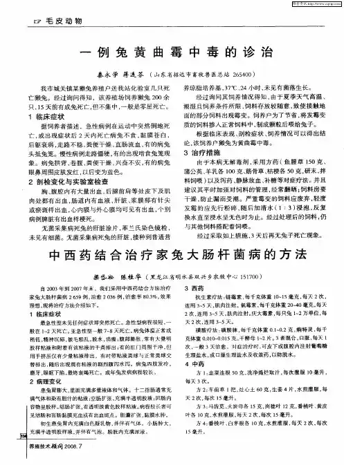 中西药结合治疗家兔大肠杆菌病的方法