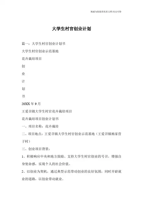 大学生村官创业计划