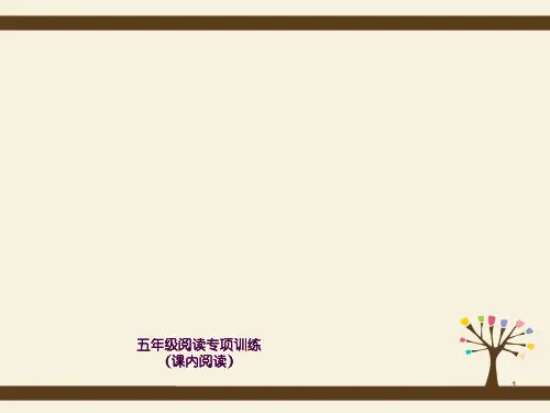 五年级阅读专项训练ppt课件