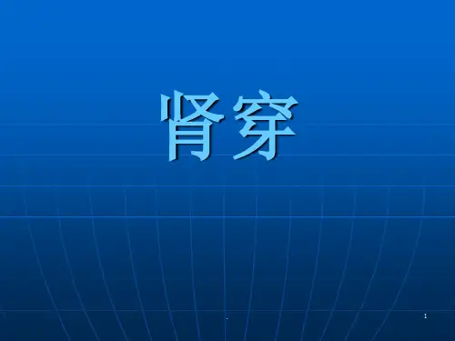 肾穿ppt课件