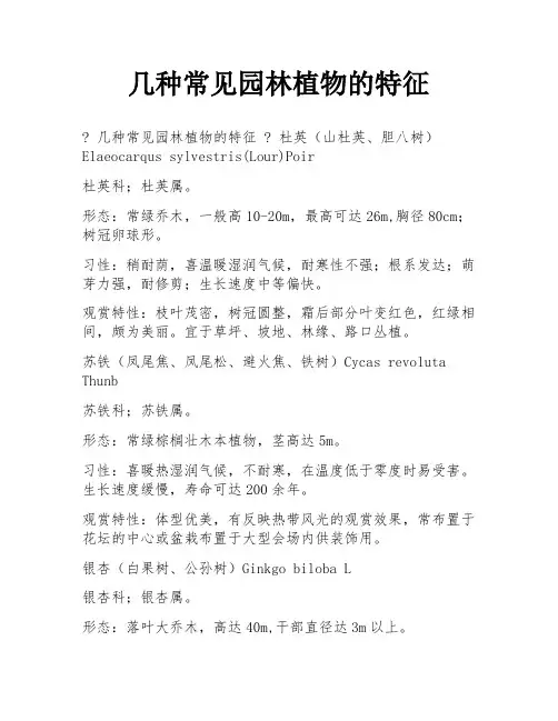 几种常见园林植物的特征