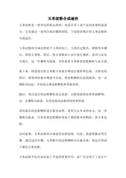 玉米淀粉合成途径