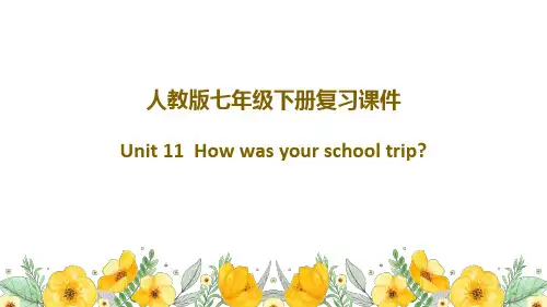 人教版英语七年级下册复习课件Unit11 --12单元