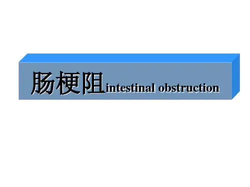 肠梗阻的x线表现-文档资料