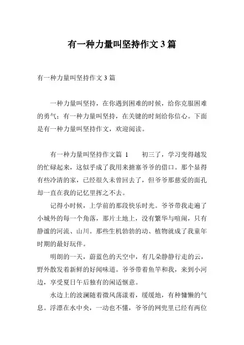 有一种力量叫坚持作文3篇