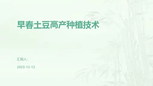 早春土豆高产种植技术