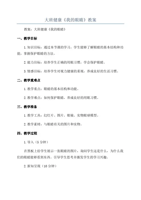 大班健康《我的眼睛》教案