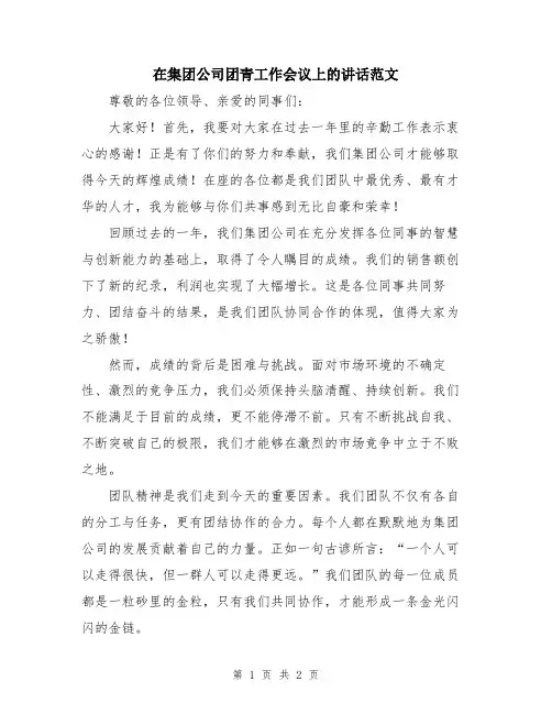 在集团公司团青工作会议上的讲话范文