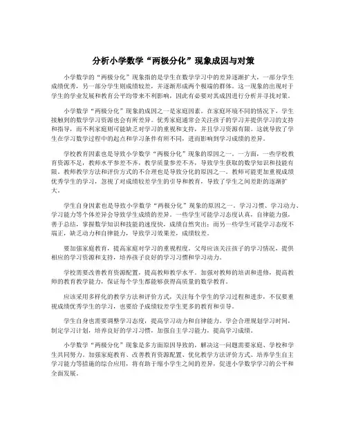 分析小学数学“两极分化”现象成因与对策