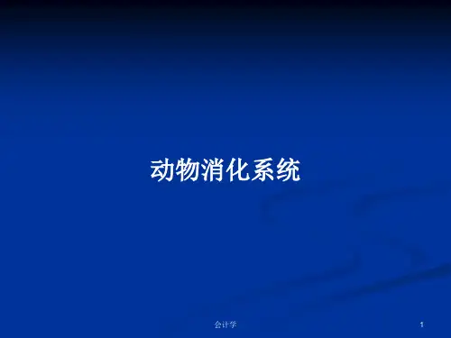 动物消化系统PPT教案