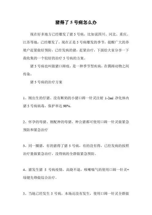 猪得了5号病怎么办