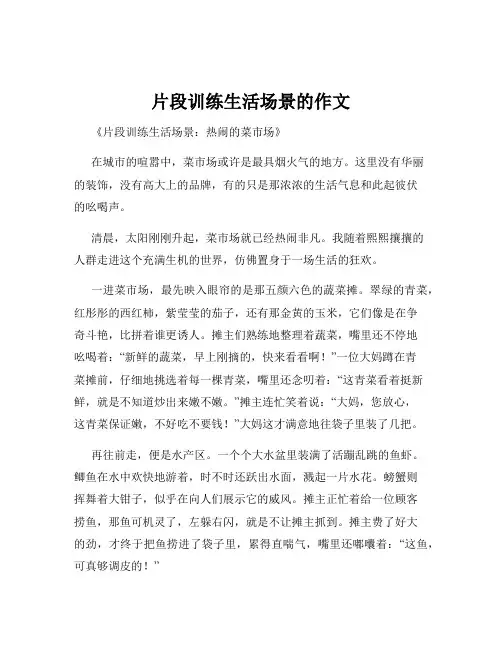 片段训练生活场景的作文