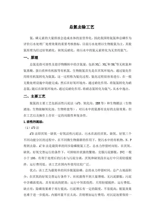 总氮去除工艺