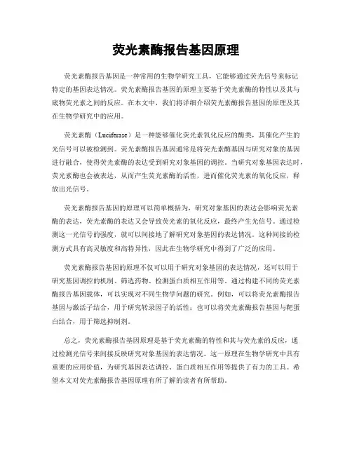 荧光素酶报告基因原理