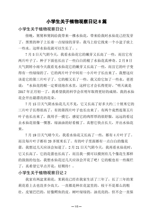 小学生关于植物观察日记8篇