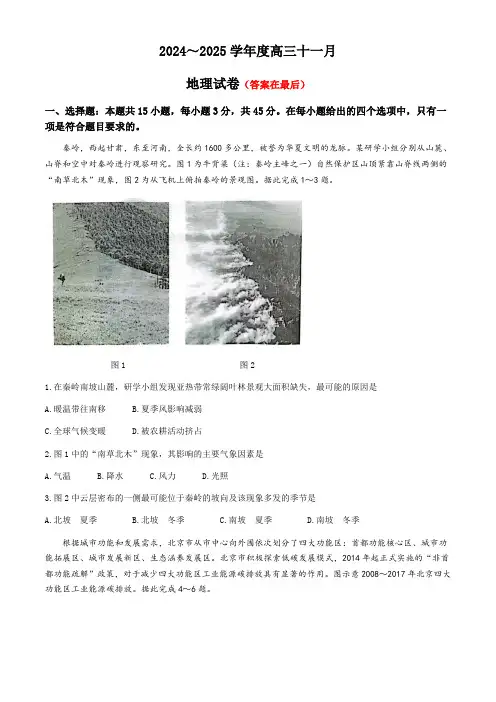 湖北省武汉市江岸区2024-2025学年高三上学期11月调考试题 地理含答案